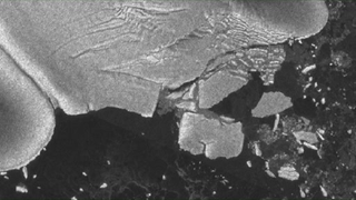 The Japanese Tsunami Also Destroyed Part of Antarctica